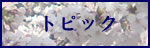 トピック